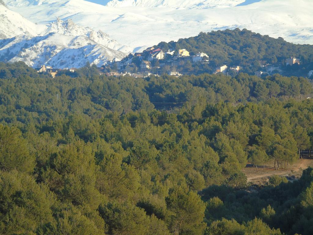 Apartamentos Turisticos Cumbres Verdes La Zubia  Exteriör bild