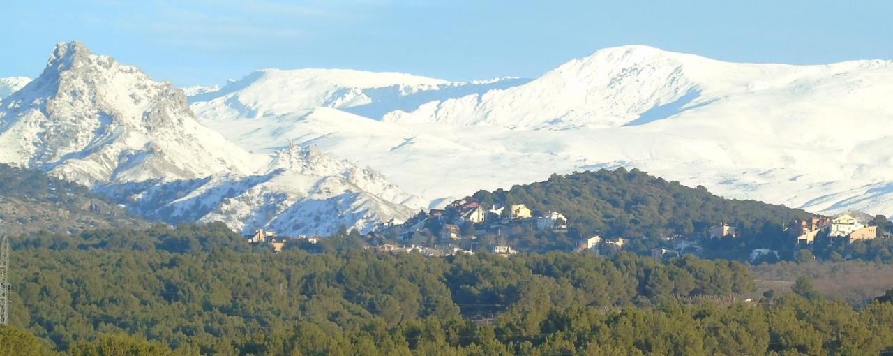 Apartamentos Turisticos Cumbres Verdes La Zubia  Exteriör bild